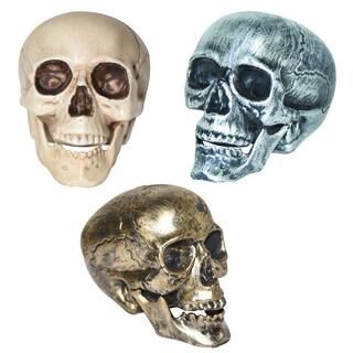 Assorted Plastic Skull by Ashland® | Michaels Stores