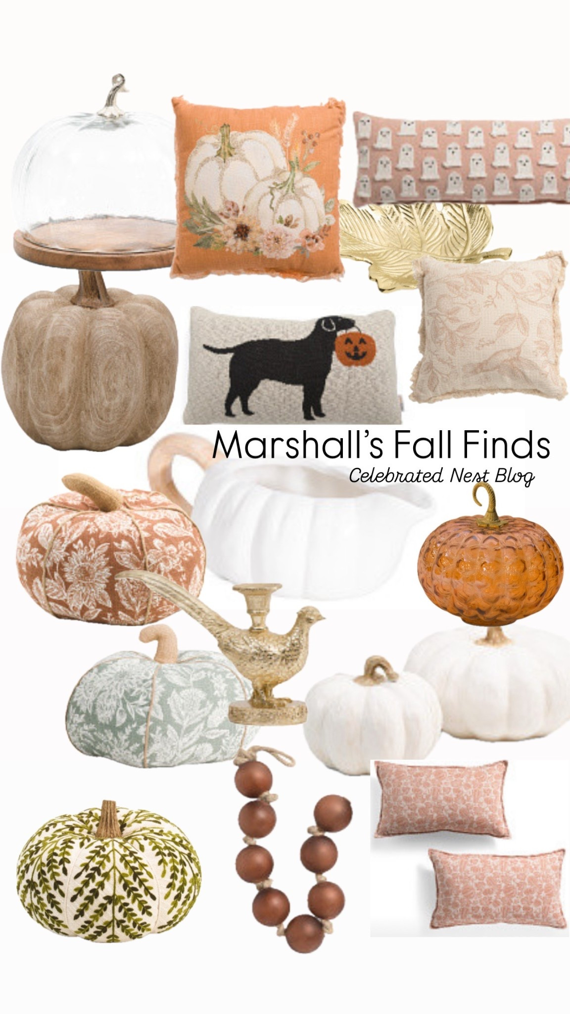 Marshall’s fall home decor! FallThrow pillows, pumpkins, candle holders and more. #falldecor #fallhomedecor #marshallsfall #fallhomestyling

#LTKStyleTip #LTKSeasonal #LTKHome