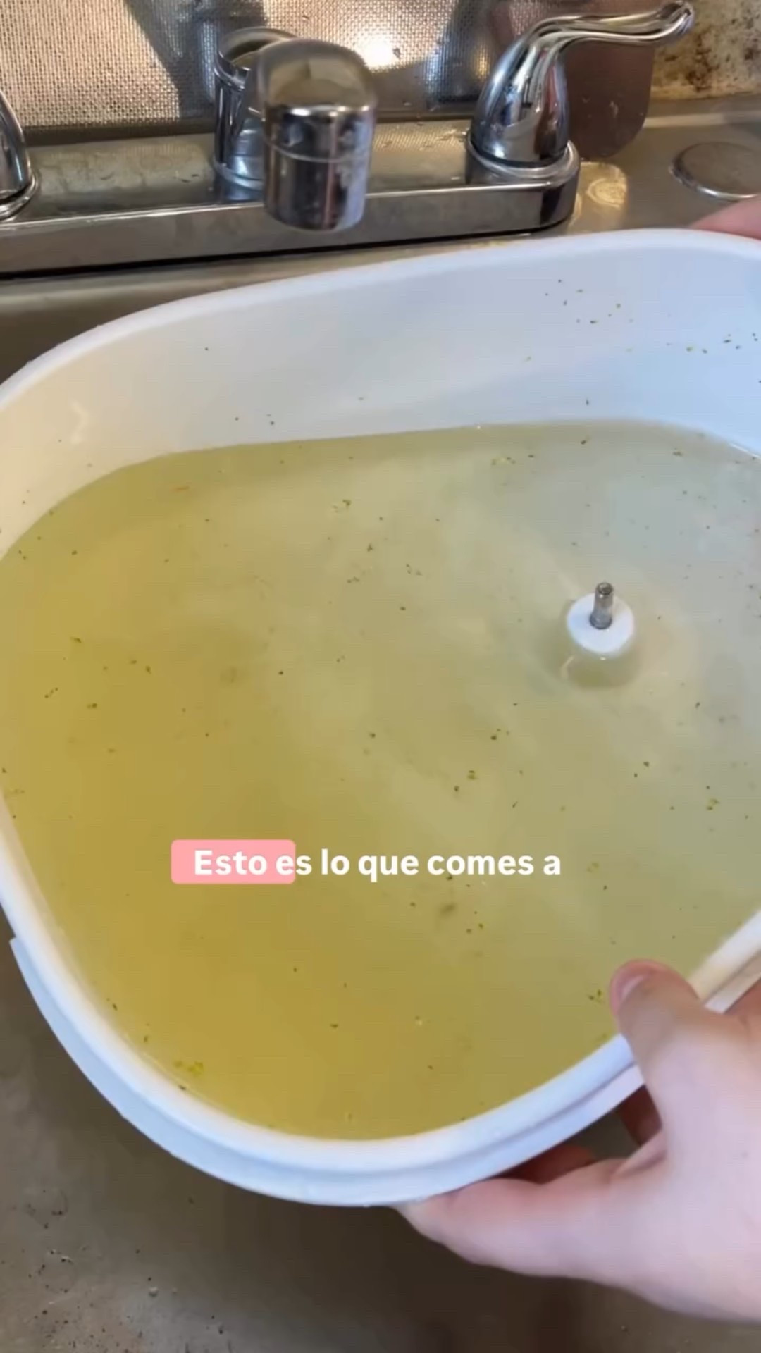 🍓🥭#lavar las #frutas y #vegetales se volvió de suma importancia para mi después que vi toda la suciedad que salía al lavarlas.No lavarlas correctamente y no tener un utensilio que te facilite forma parte del proceso 

Comenta LINK y te digo donde lo compre 

Link directo👉🏻: https://amzn.to/42T2YMZ

#unitedstatesofamerica #unitedstates #estadosunidos™️ #usa #estadosunidosdaamérica #estadosunidos #usa #unitedstatesofamerica #USA #UnitedStates #America #Home #House #Cleaning #Tips #Hacks #LifeHacks #HouseholdTips #HomeHacks #Inspo 
#HomeSweetHome 
#HouseGoals 
#HomeDecor 
#HomeInspo