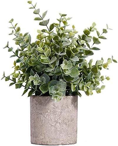 MIAIU Small Potted Artificial Plants Plastic Fake Greenery Topiary Shrubs for Home Office Farmhou... | Amazon (US)