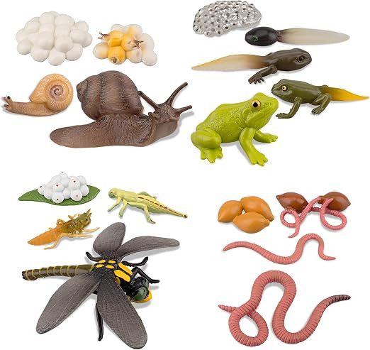 TOYMANY 17PCS Life Cycle of Frog Snail Earthworm Dragonfly, Egg Tadpole to Frog Safariology Amphi... | Amazon (US)
