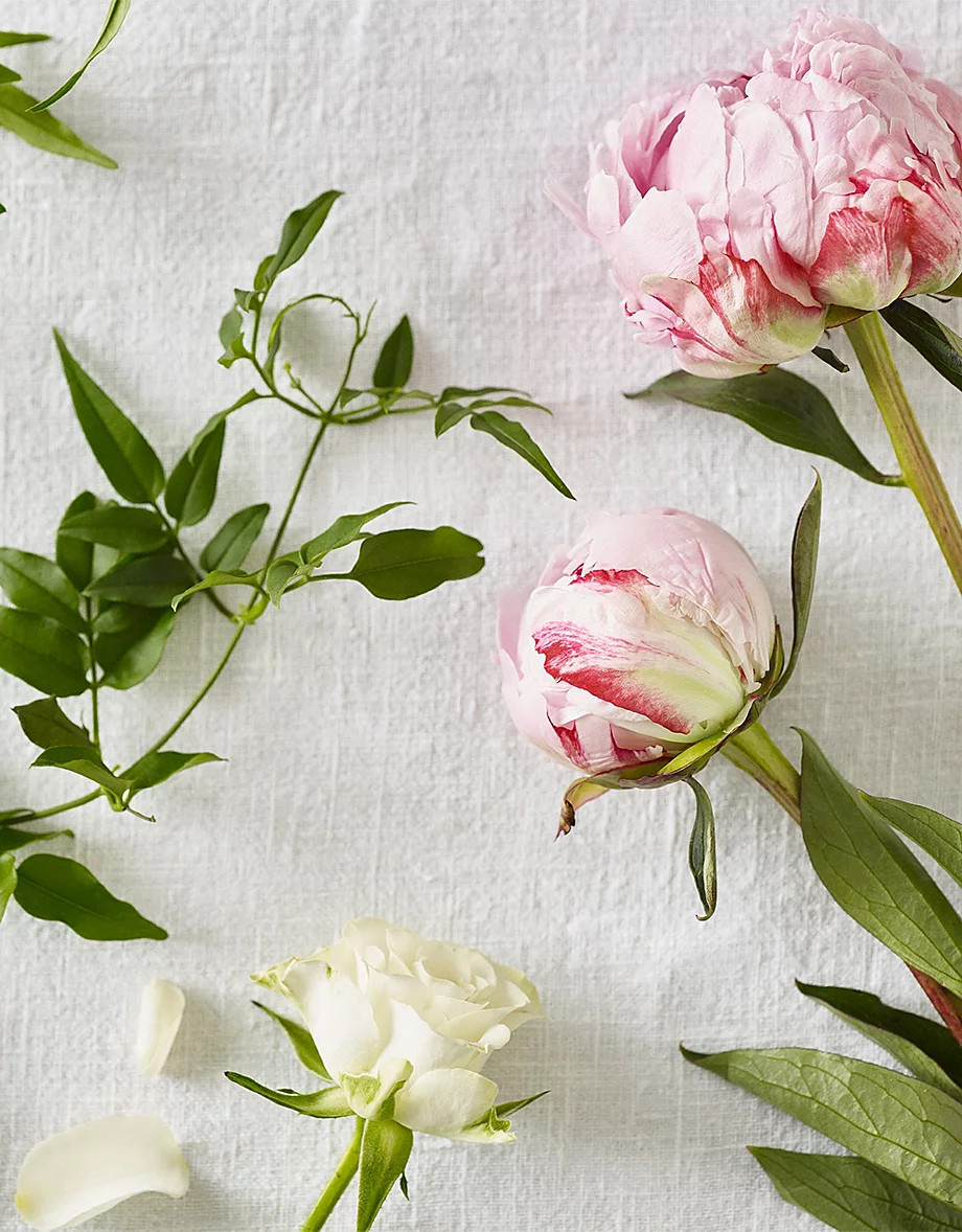 Peony Hand & Nail Set | Bath & Body Gift Sets  | The  White Company | The White Company UK & ROW