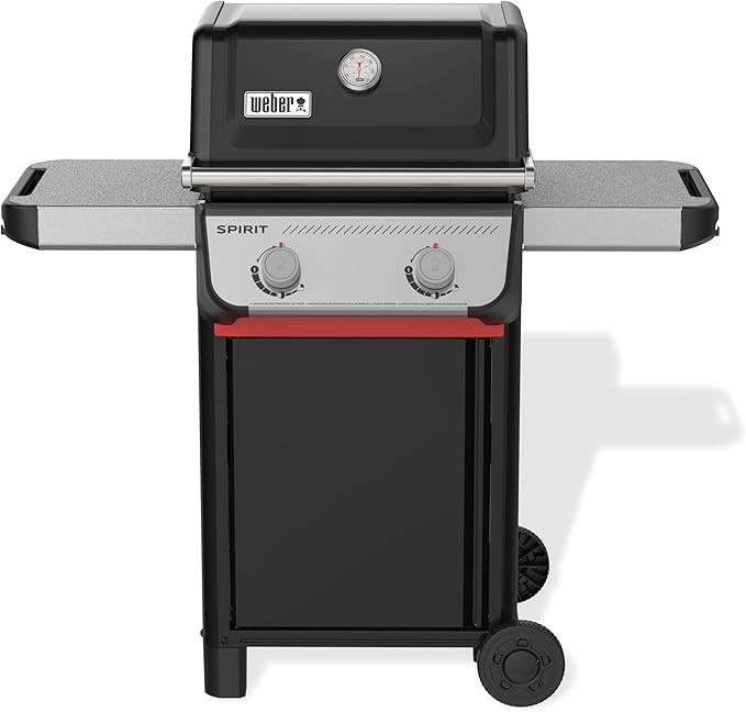 Weber Spirit E-210 Liquid Propane Gas Grill for Outdoor Cooking and BBQ, 2 Burners, Black – Por... | Amazon (US)