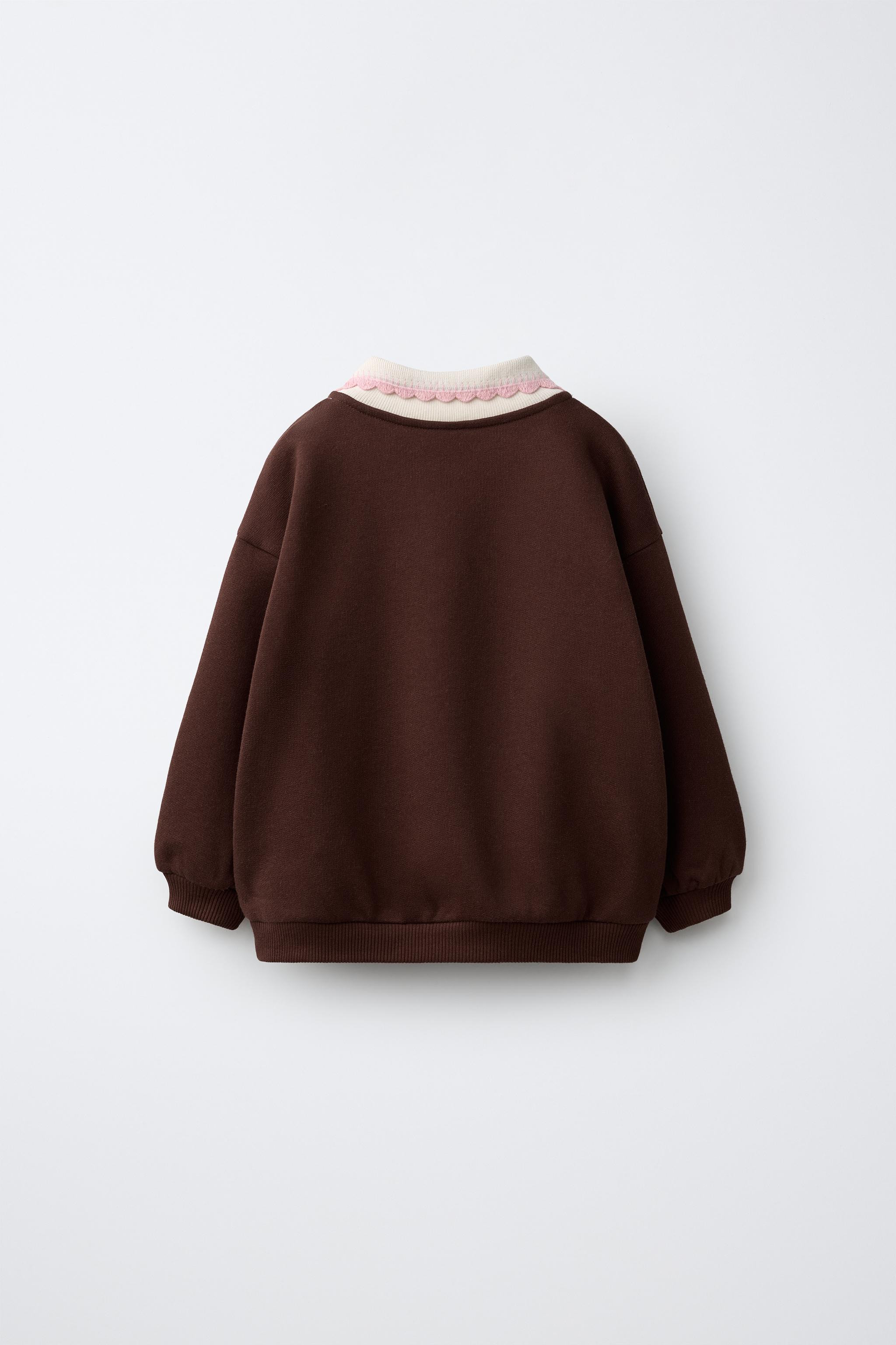 EMBROIDERED POLO SWEATSHIRT | Zara US