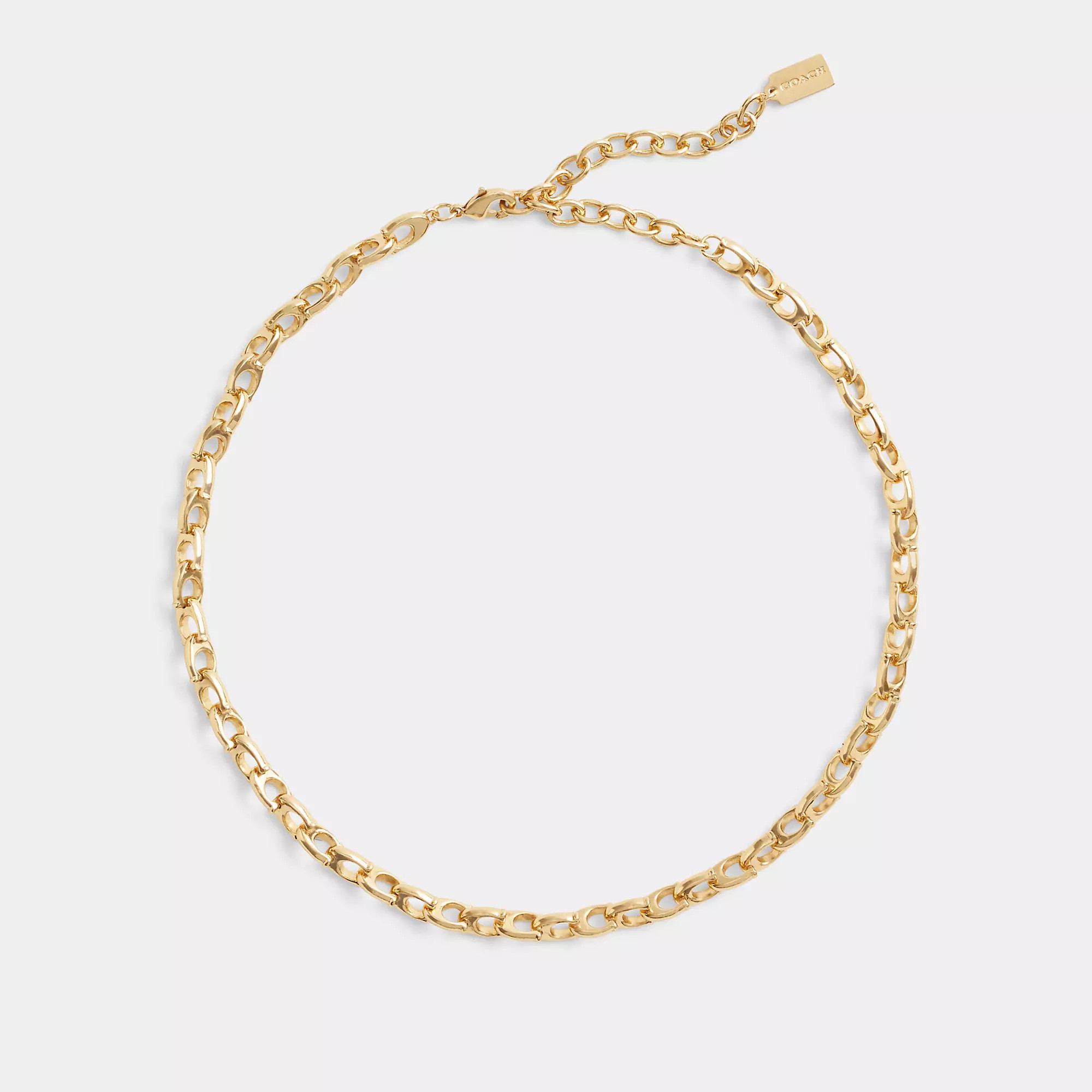 Signature Chain Link Choker Necklace | Coach (US)
