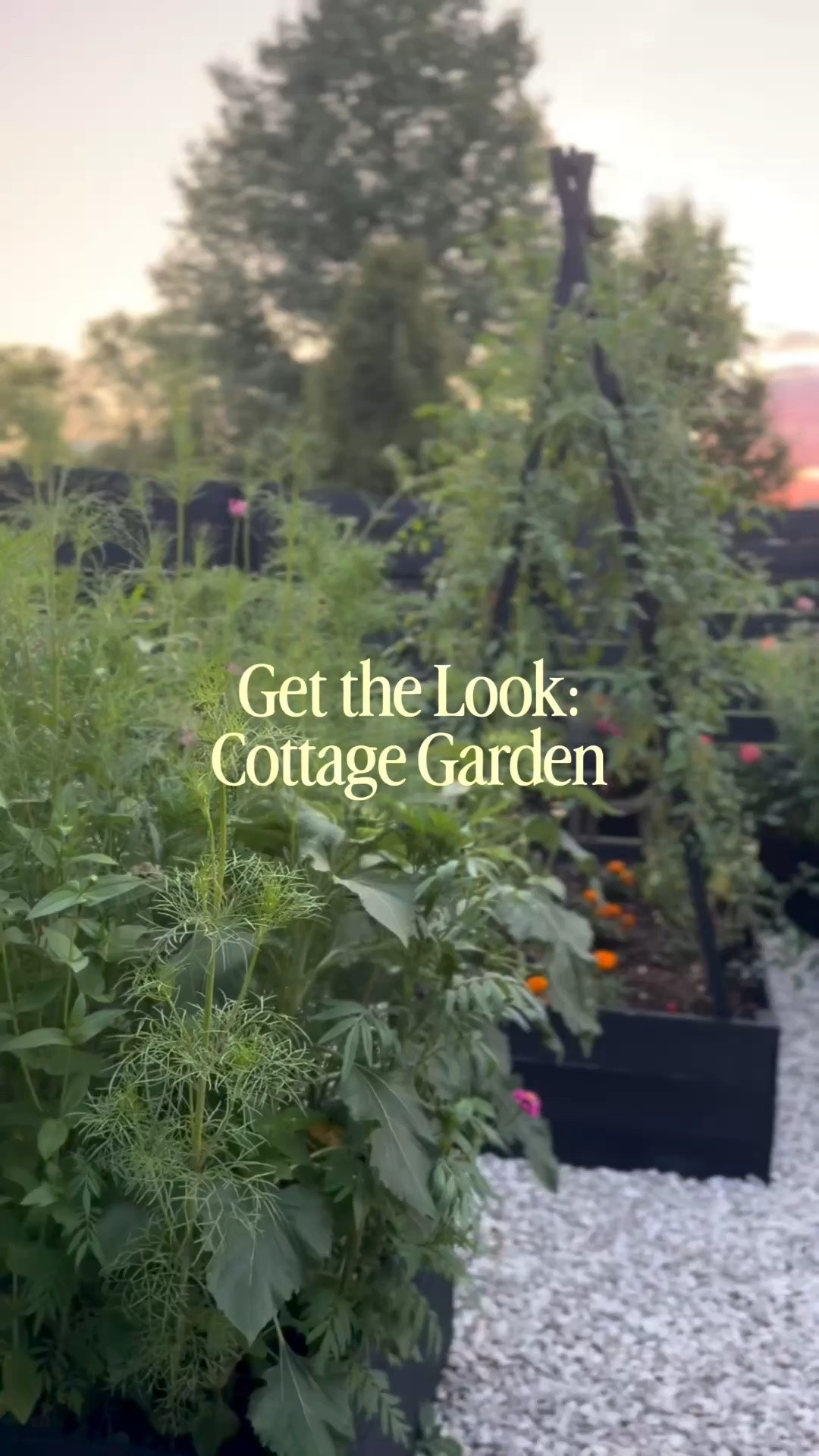 The garden links I get asked for over and over again… 🌿🤍

From the cucumber arch that transformed the way we grow cucumbers to my favorite tools, clips, and all the little finds that make our cottage garden come together—I’ve finally put them all in one place.

I hope this collection helps make your cottage garden a little more magical ✨

#LTKSeasonal #LTKHome #LTKSaleAlert
