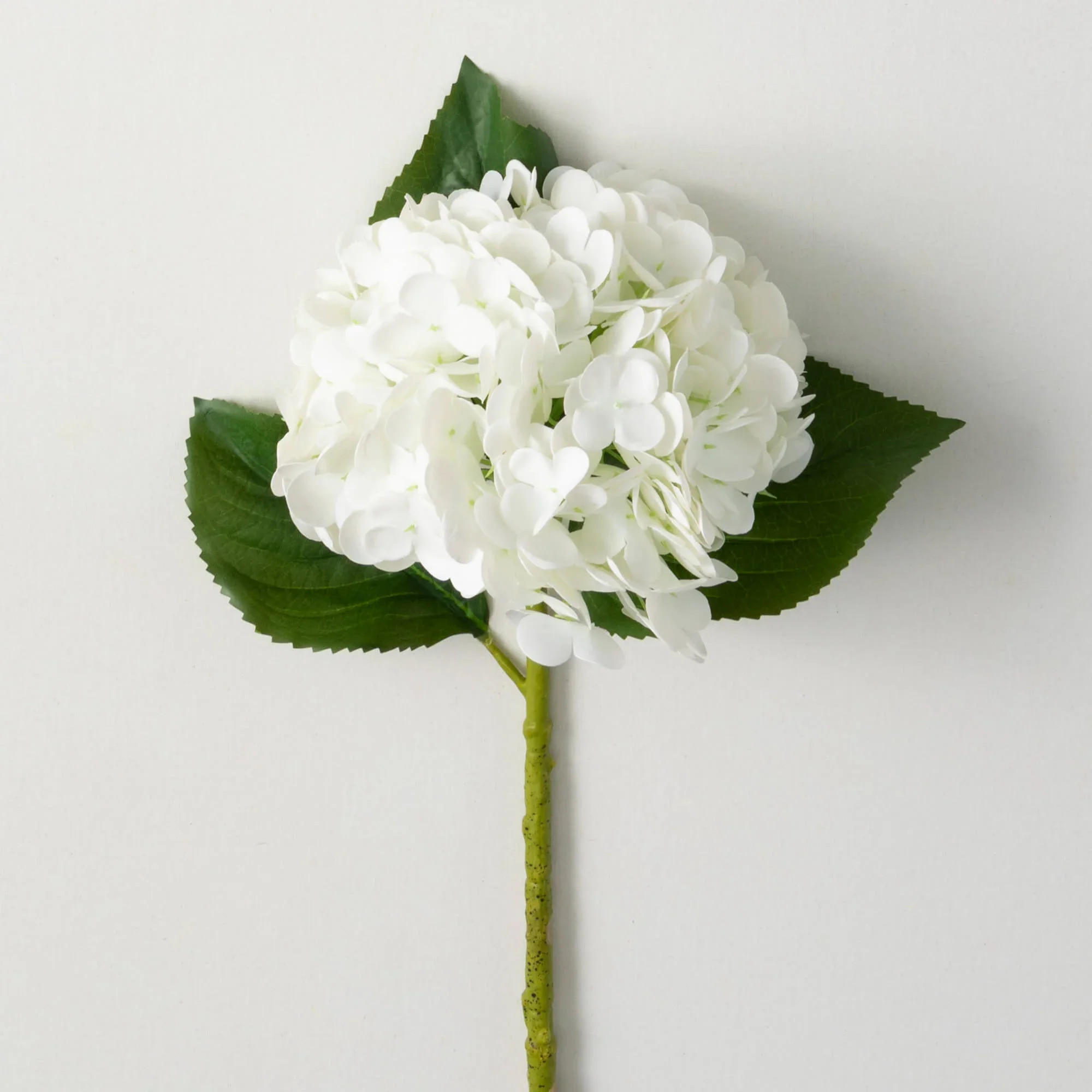 White Hydrangea Spray - 20" | Eco Chic Home
