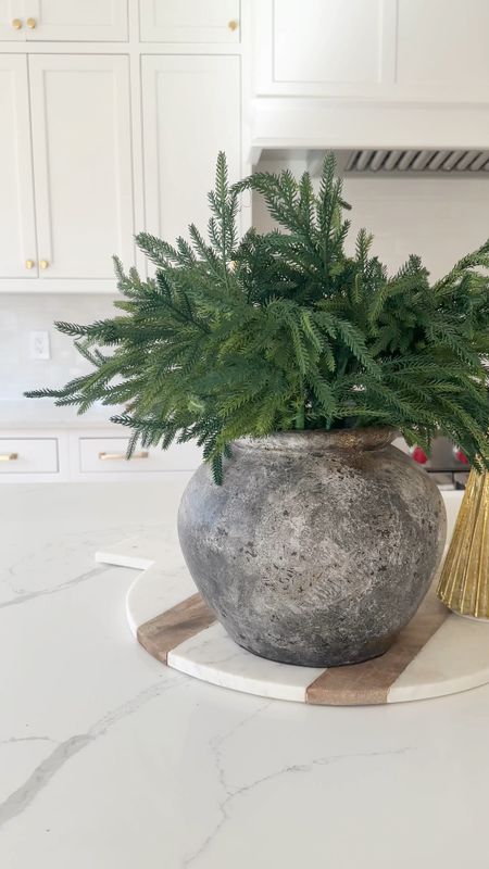 Look for less Norfolk Pine stems from Amazon! These are the perfect size and fullness for a large face. These look very similar to the more expensive Afloral version 

#LTKSeasonal #LTKhome #LTKHoliday