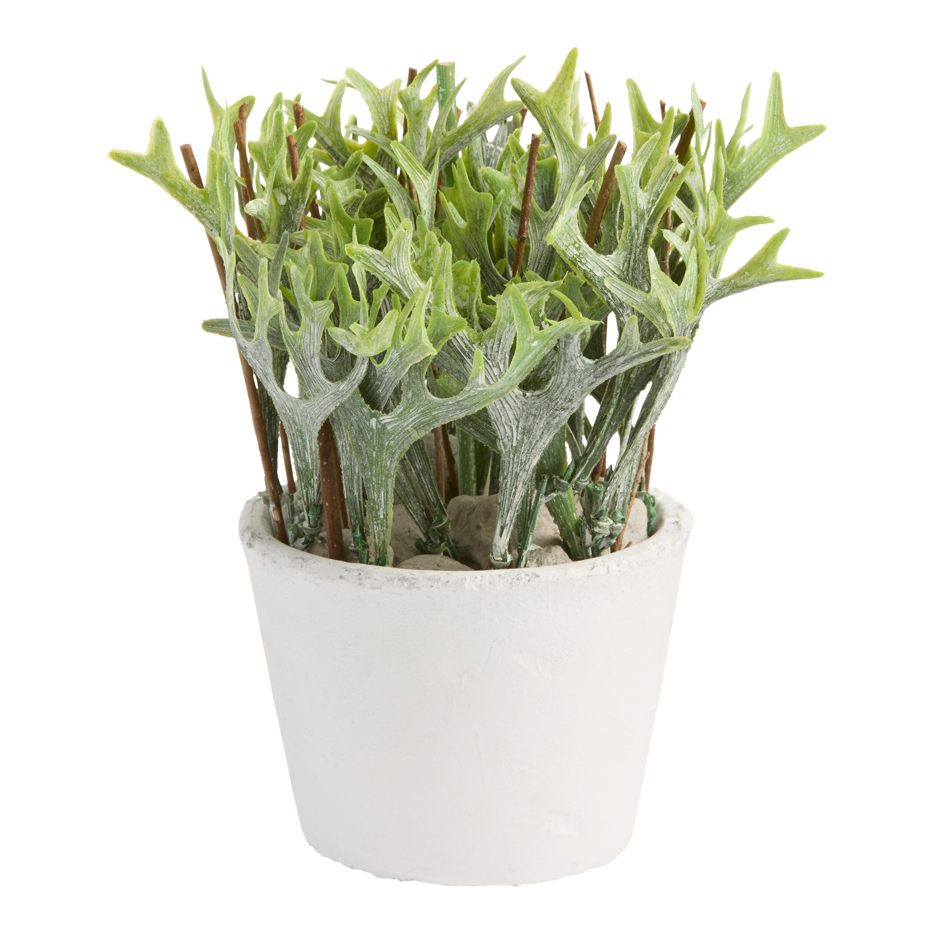 Mini Faux Staghorn Fern in Cement Pot | World Market