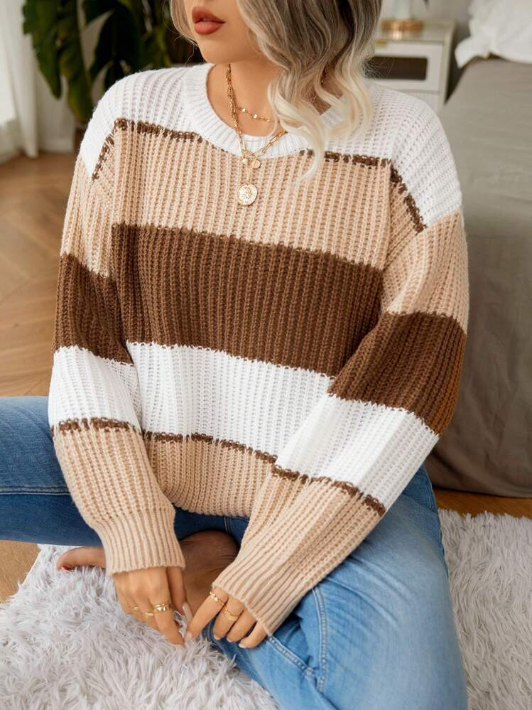 Elenzga Plus Size Colorblock Crew Neck Casual Knit Sweater, For Winter Knit Pullover Fall Outfit | SHEIN