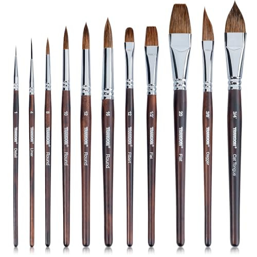 Transon 11pcs Sable Watercolor Brushes Professional Brush Set for Watercolor Painting Gouache Painting | Amazon (US)