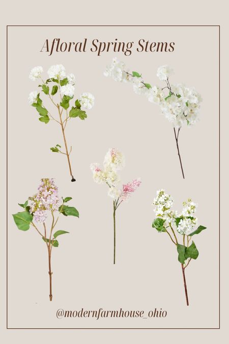 Afloral Spring Stems 20% off with code: ThankYou thru 2/12 

lilacs, cherry blossoms, snowballs, realistic faux florals, spring floral arrangements 

#LTKSeasonal #LTKSpringSale #LTKhome