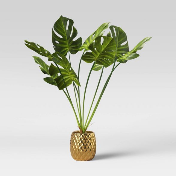 Potted Palm Leaf Plant - Opalhouse™ | Target