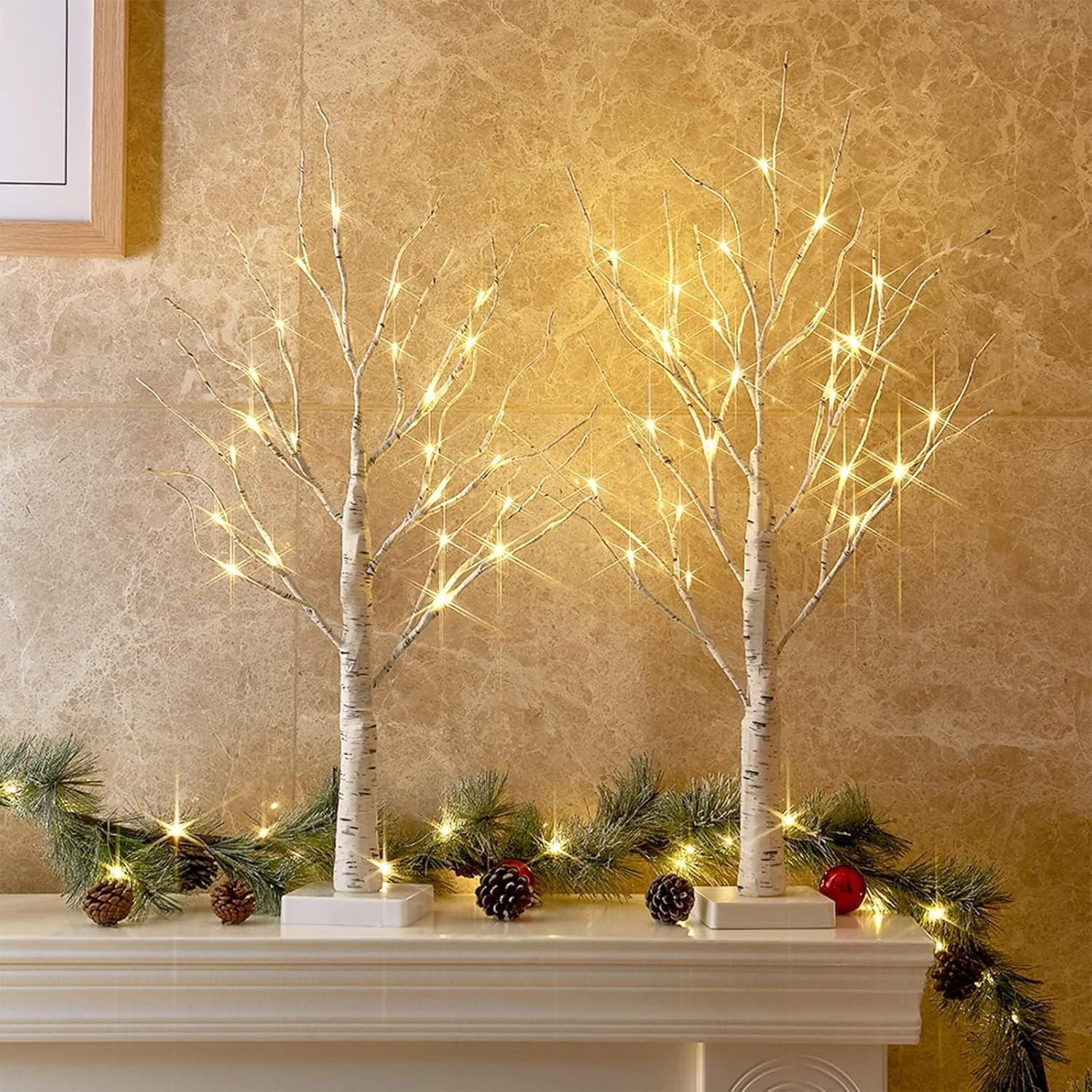 PEIDUO Christmas Decorations, 2FT Birch Tree with LED Lights, Warm White Light up Tree Lamp, Artificial Trees for Home Table Inside, Battery Powered, Timer (2PK) | Amazon (US)