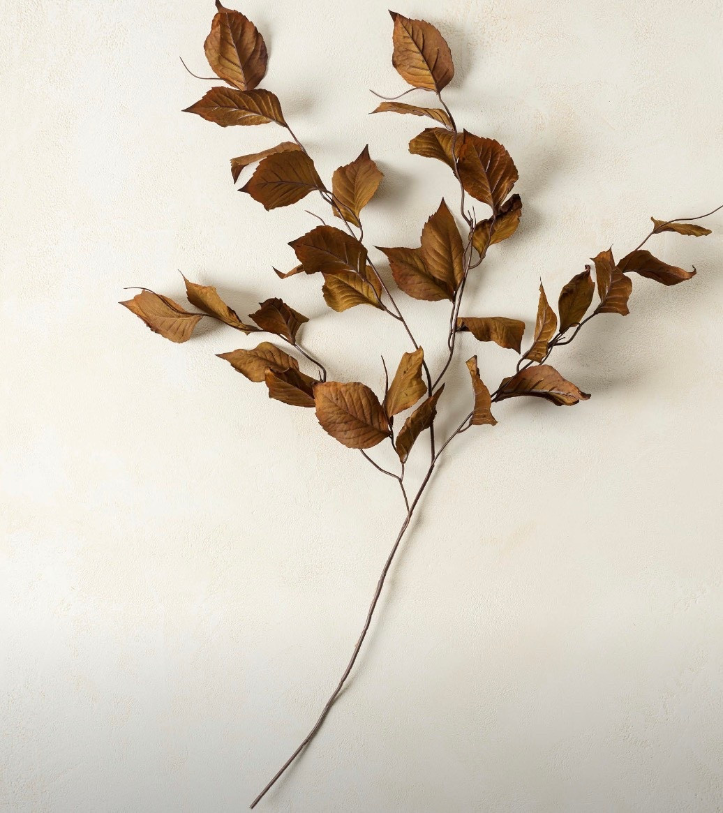 The perfect stem colors for fall

#LTKStyleTip #LTKSeasonal #LTKHome