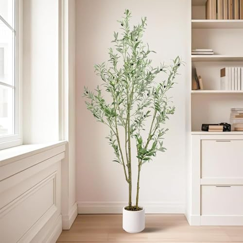 MCTYBB Olive Trees Artificial Indoor,Fake Olive Tree 6FT Tall 1Pack with White Planter Faux Silk Olive Tree for Home Living Room Office Decor Faux Artificial Plants Indoor with Fruit & Free Moss | Amazon (US)