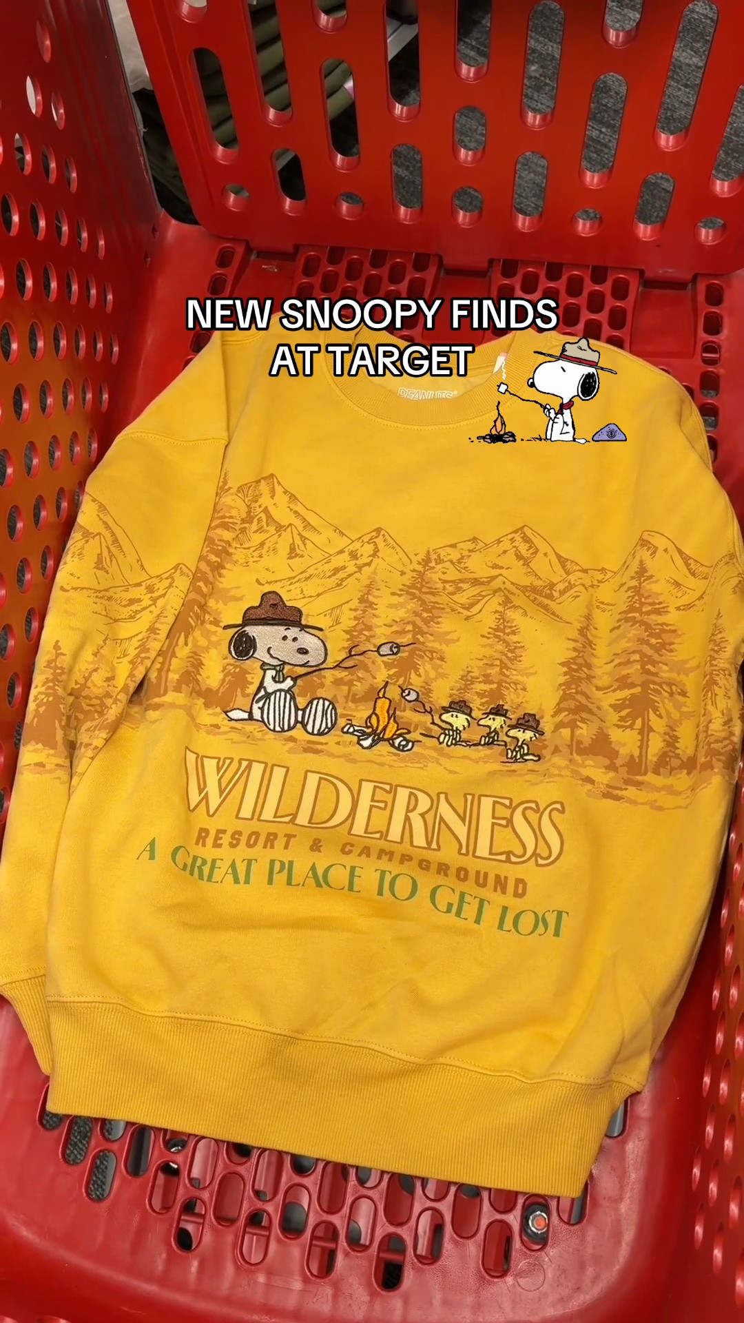 New Snoopy finds at Target! 🥹💛

#target #targetfinds #snoopy #peanuts #targetstyle #sweatshirt #hiking #camping #tanktop #summer @Target

#LTKSeasonal #LTKActive #LTKootd