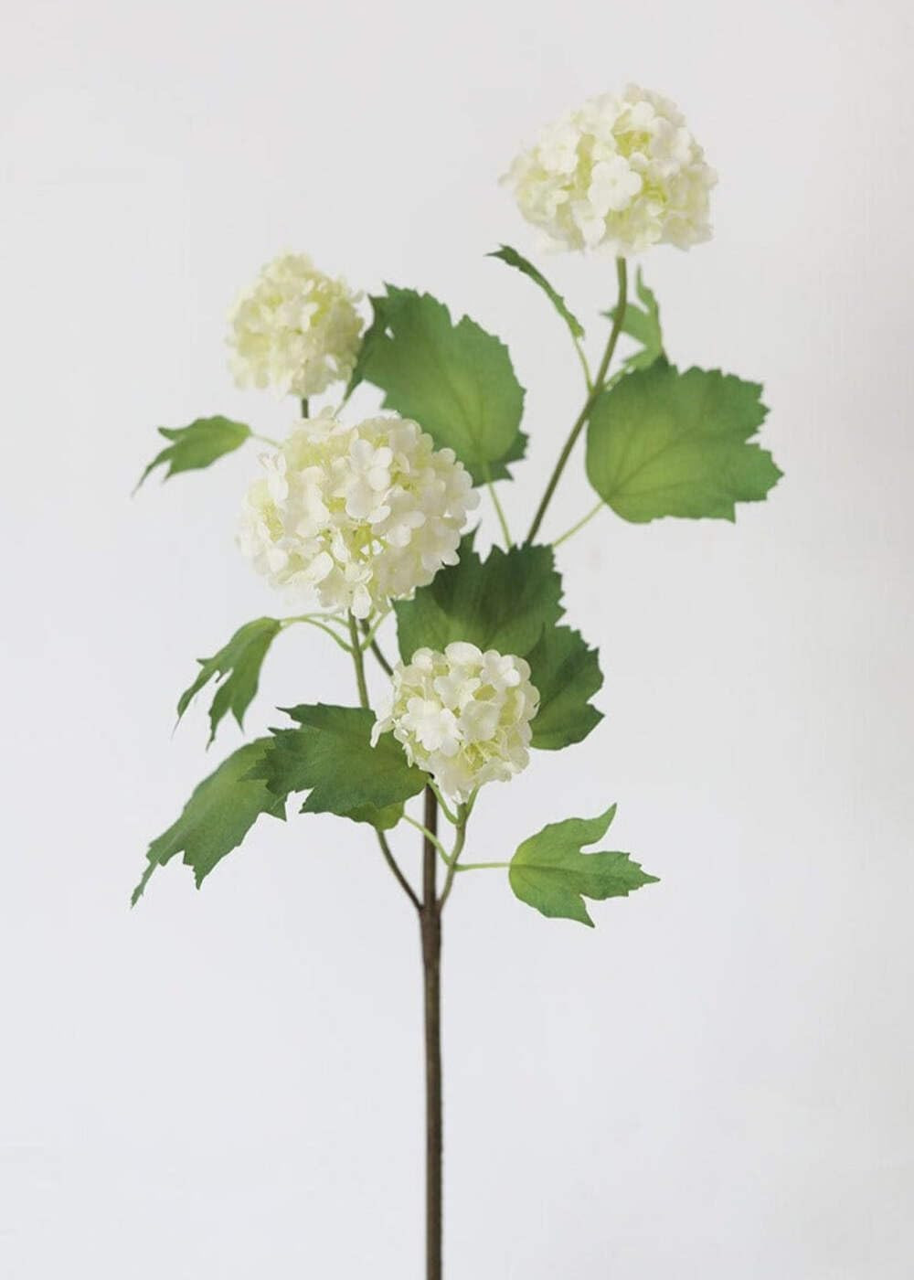 Afloral Cream White Artificial Snowball Flowers - 24" | Amazon (US)