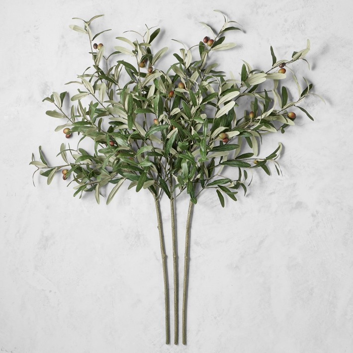 Faux Olive Branch | Williams-Sonoma