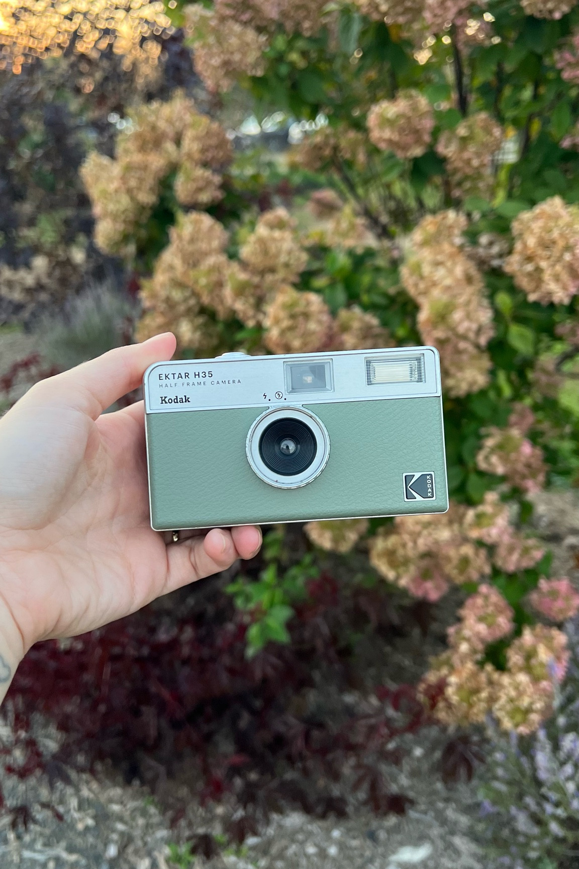 Cutest little half frame film camera! 

#LTKfindsunder50 #LTKtravel #LTKxPrime