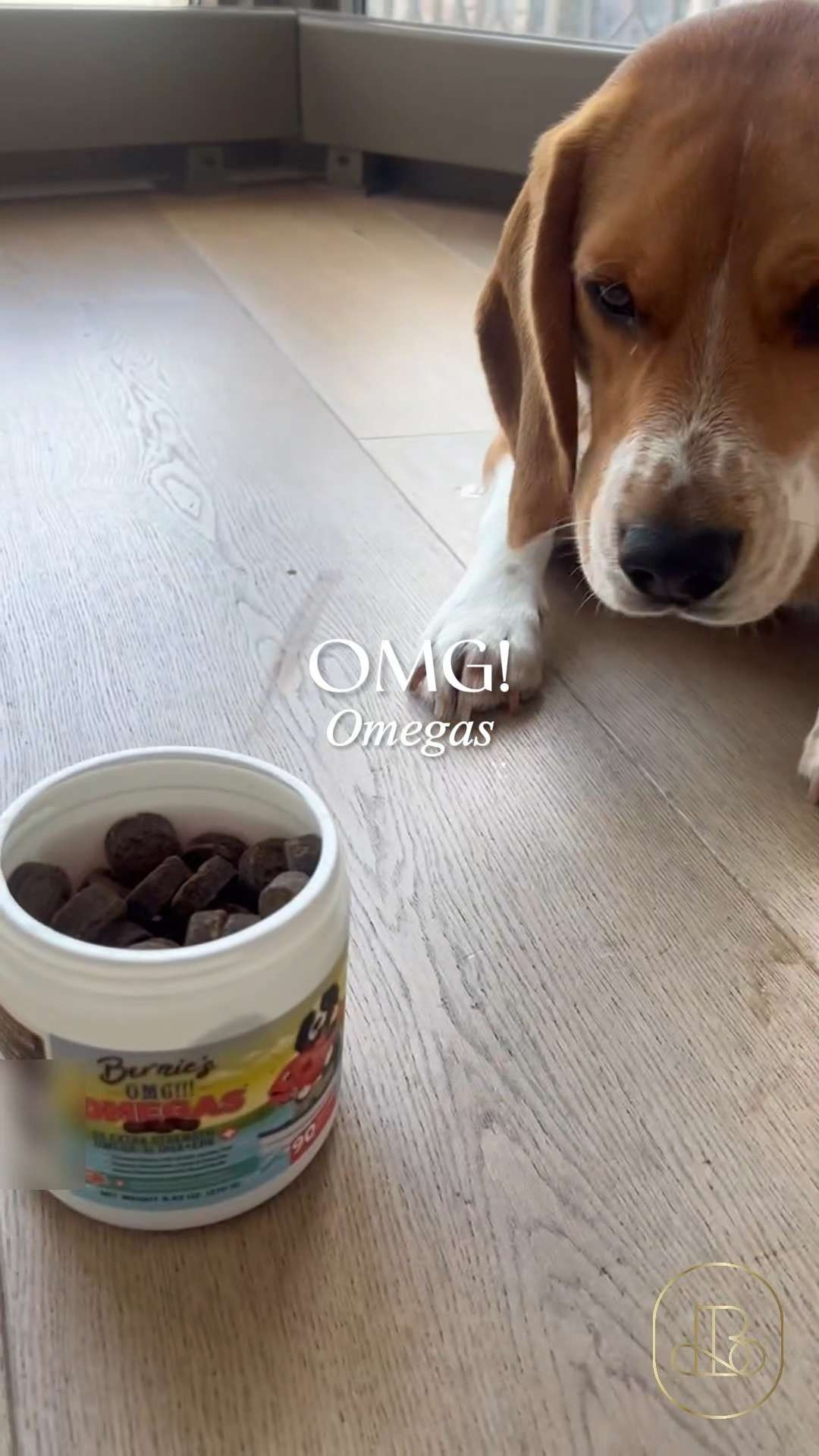 If you’re looking to boost your dog’s daily nutrition, these omega chews are worth checking out 🐾 Made to help with shine, softness, and overall wellness, they’re a simple add-on to daily routines. Love that they’re chewable and dog-friendly, making supplement time feel more like a treat than a task 🦴 #dogsupplements #petwellness #omegasfordogs #dogcare #LTKpetfinds 

#LTKHome #LTKFindsUnder100
