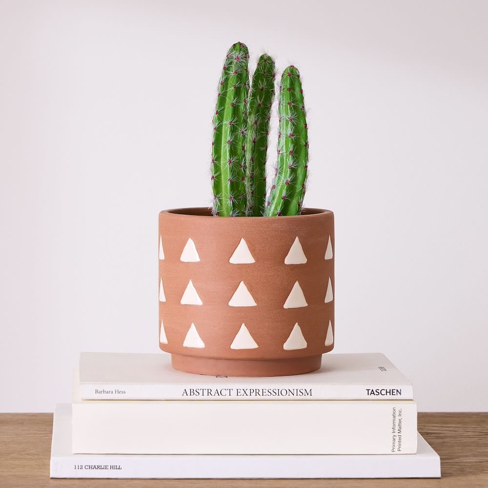 Faux Potted Peanut Cactus Plant | West Elm (US)