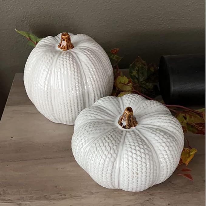 One Holiday Way Elegant Set of 2 Decorative Ceramic Knit White Faux Pumpkin Figurines - Rustic Fa... | Amazon (US)