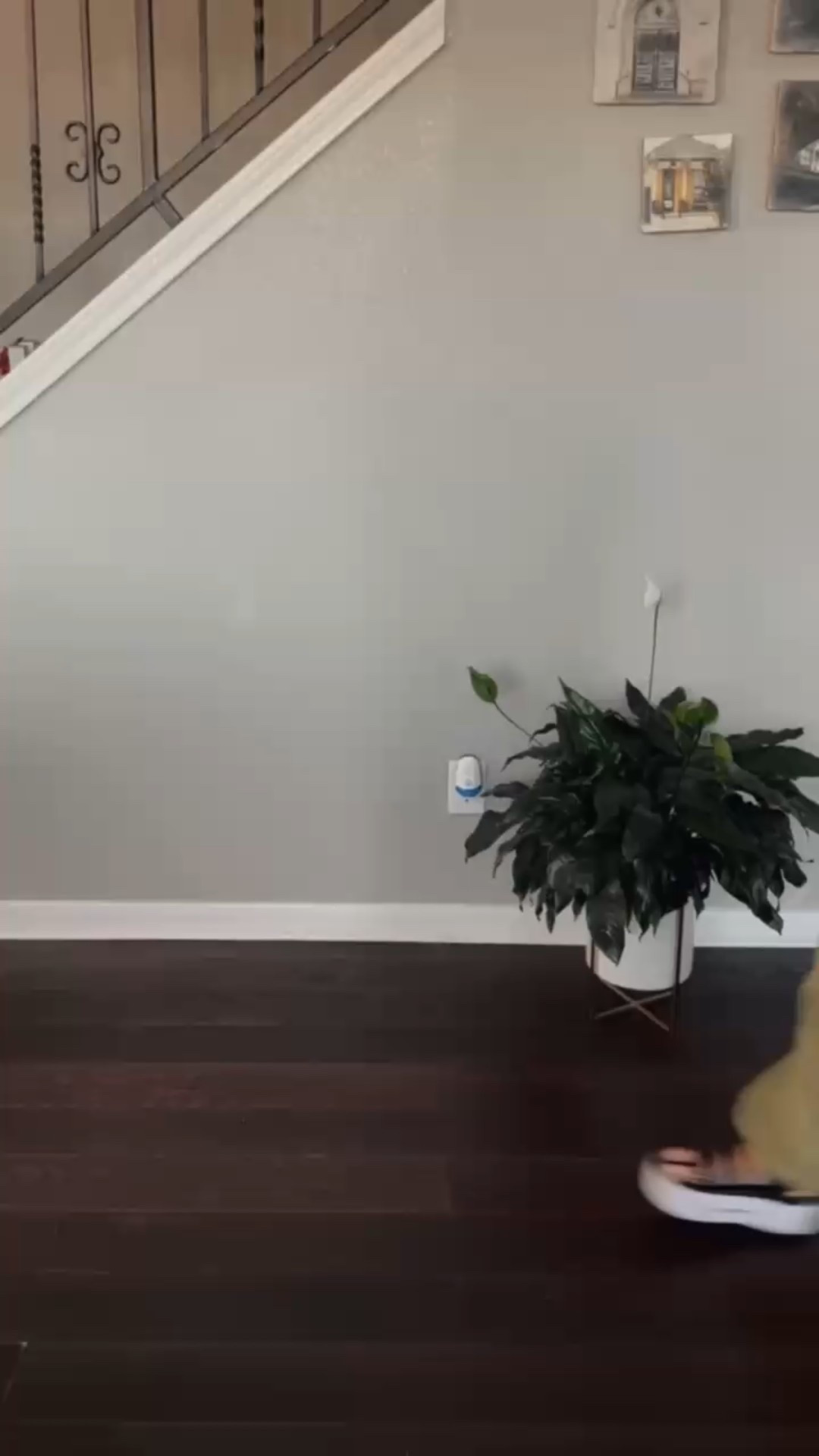 Transform your look effortlessly!👗Check out how I styled these versatile 2-in-1 outfits by simply swapping out a shirt and a few accessories like my shoes, purse, and jewelry.
.
From casual to chic to evening glam, it’s all about the details!💖Which look do you prefer?  Let me know in the comments below!👇 
.
#FashionStylist #ootd #everydaystyle #fashionreels #fashionwriter #wardrobestylist #StyleInspo #JulesAldaz 

#LTKU #LTKStyleTip #LTKBeauty