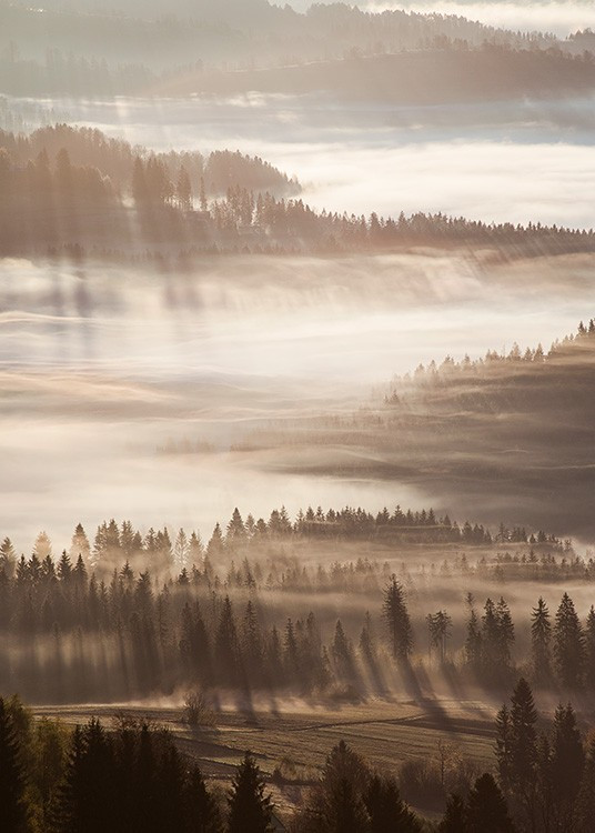 Sun Rays Through Mist Print | Desenio