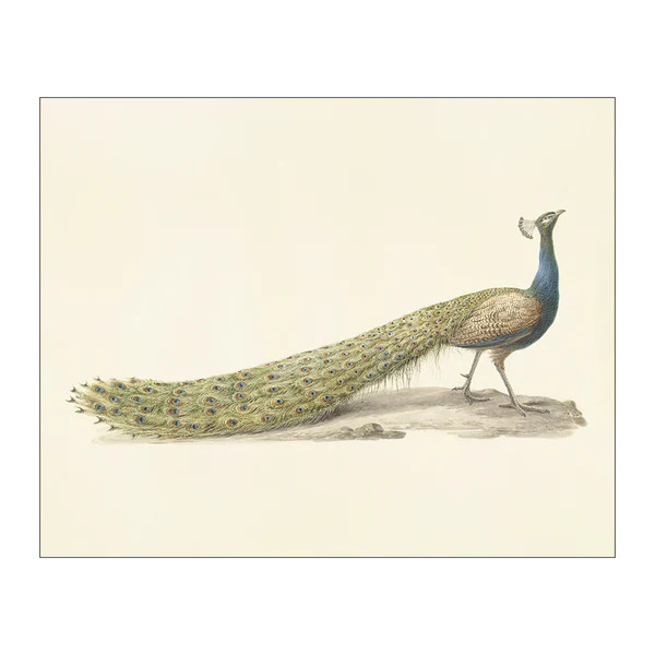 Mr. Peacock in the Conservatoryvintage reproduction | Lindsay Letters, LLC