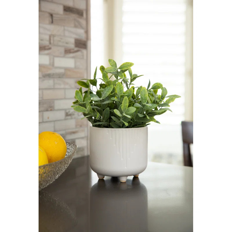10'' Faux Eucalyptus Plant in Ceramic Planter | Wayfair North America