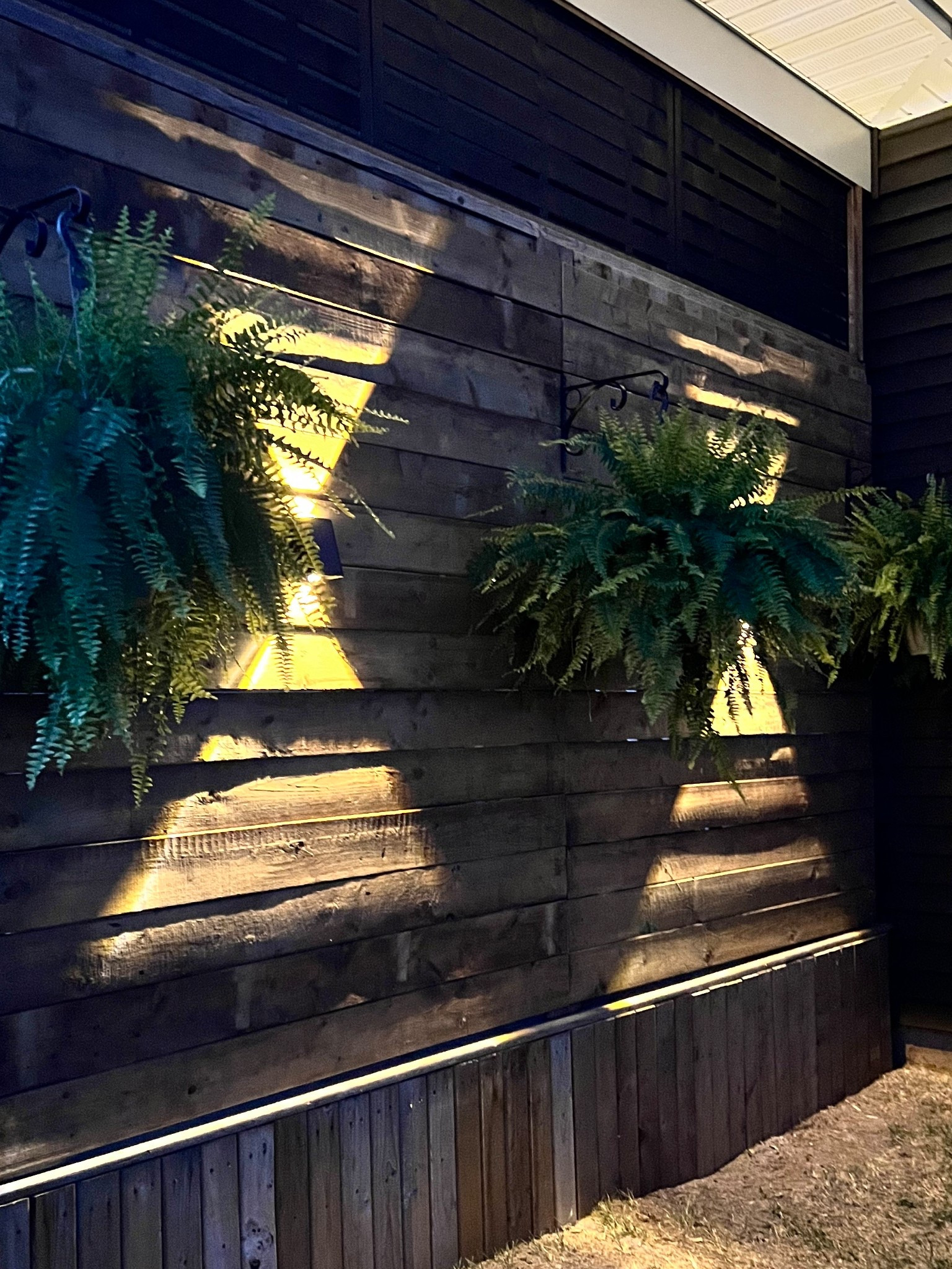 These solar up/down wall lights are such a vibe ✨ No wiring, no batteries — just charge during the day and enjoy the glow at night!
✔️ Super easy install (just two screws + a button on the back)
✔️ Warm or cool light option
✔️ Sleek, modern design
✔️ Bright and beautiful
And yes — it’s a 4-pack at a great price. We’re obsessed! ⭐️⭐️⭐️⭐️⭐️

(PS: these ferns are real but I’ve linked some great faux options if you like the look but prefer less maintenance)

#LTKSeasonal #LTKHome