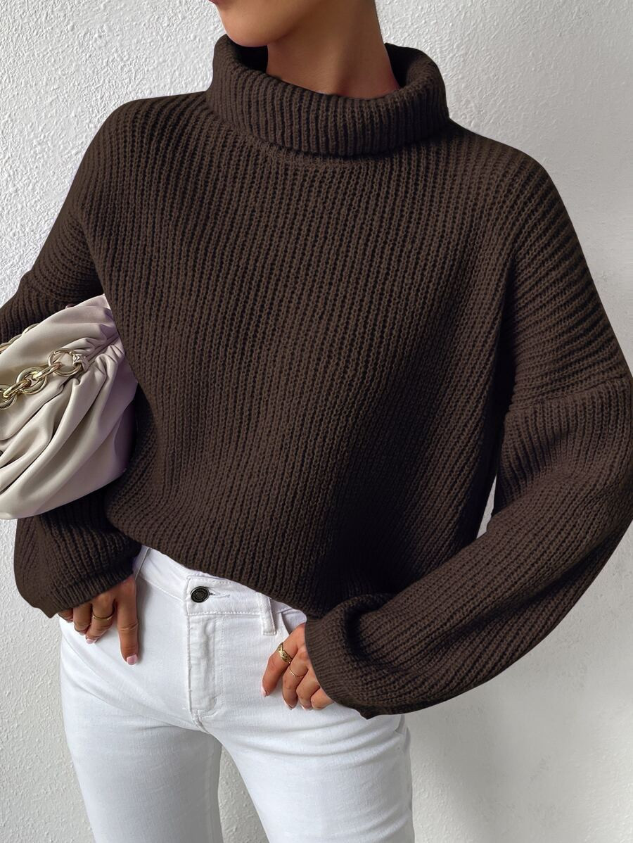 HomeWomen ClothingWomen KnitwearWomen SweatersHigh Neck Drop Shoulder Sweater | SHEIN