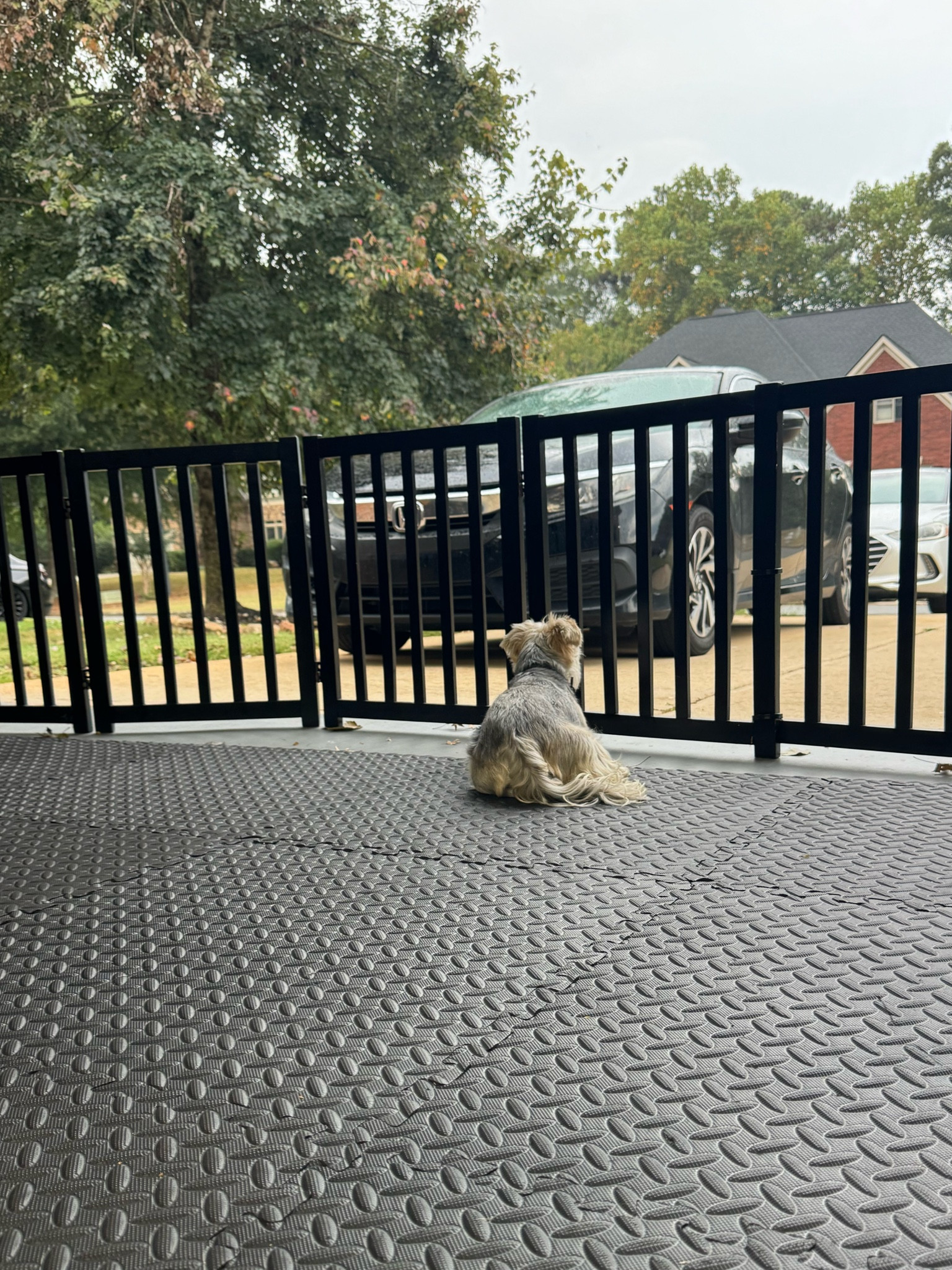 Doggy Gate for Garage 🐶

#LTKFindsUnder100 #LTKFamily #LTKHome