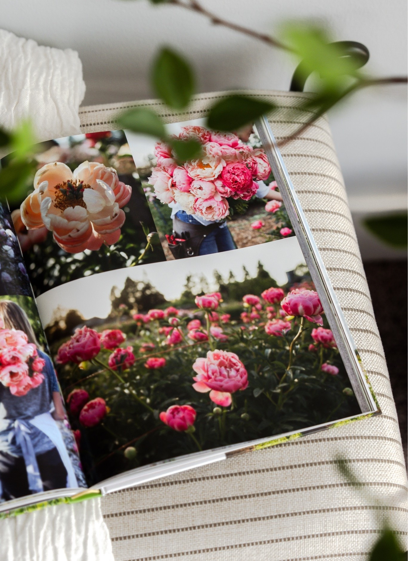 My afternoon noon read. If you want a book full of beautiful flowers this book is for you! 


•gardening •cut flowers •home decor •reading corner

#LTKHome #LTKSeasonal #LTKstorytime