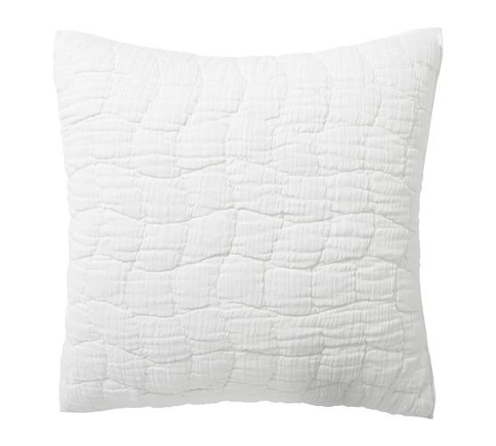 Cloud Quilted Sham | Pottery Barn (US)