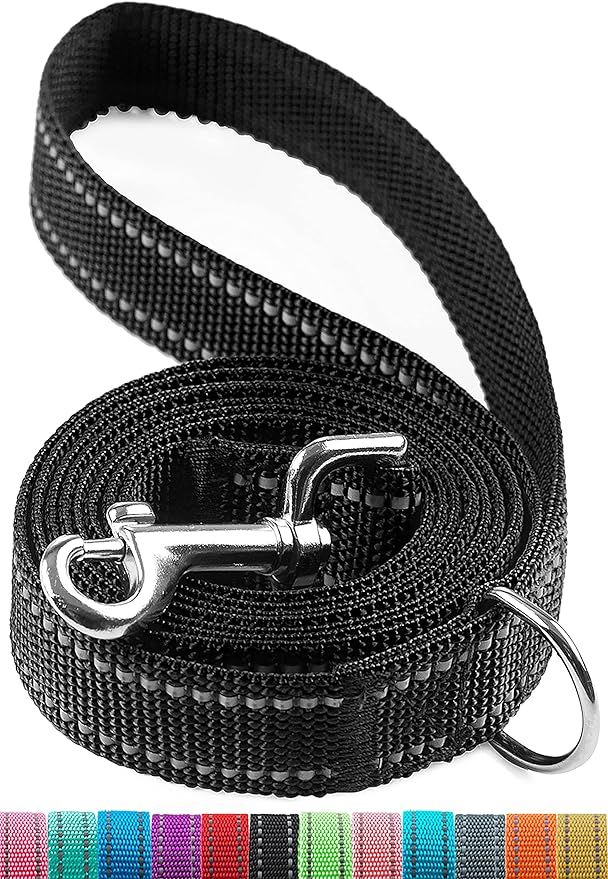 6FT Reflective Dog Leash for Large&Medium and Small Dogs, Strong and Durable Nylon Leashes for Wa... | Amazon (US)