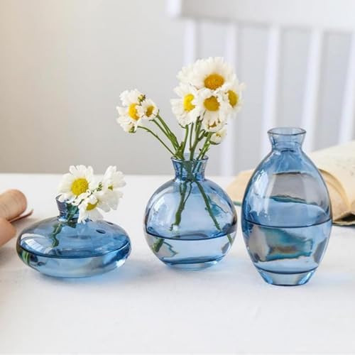 Anierax Small Flower Vase Set of 3, Glass Bud Vases, Blue, Modern, Round, Transparent, Wedding Table Vases for Centerpiece, Home Decor Gift | Amazon (US)