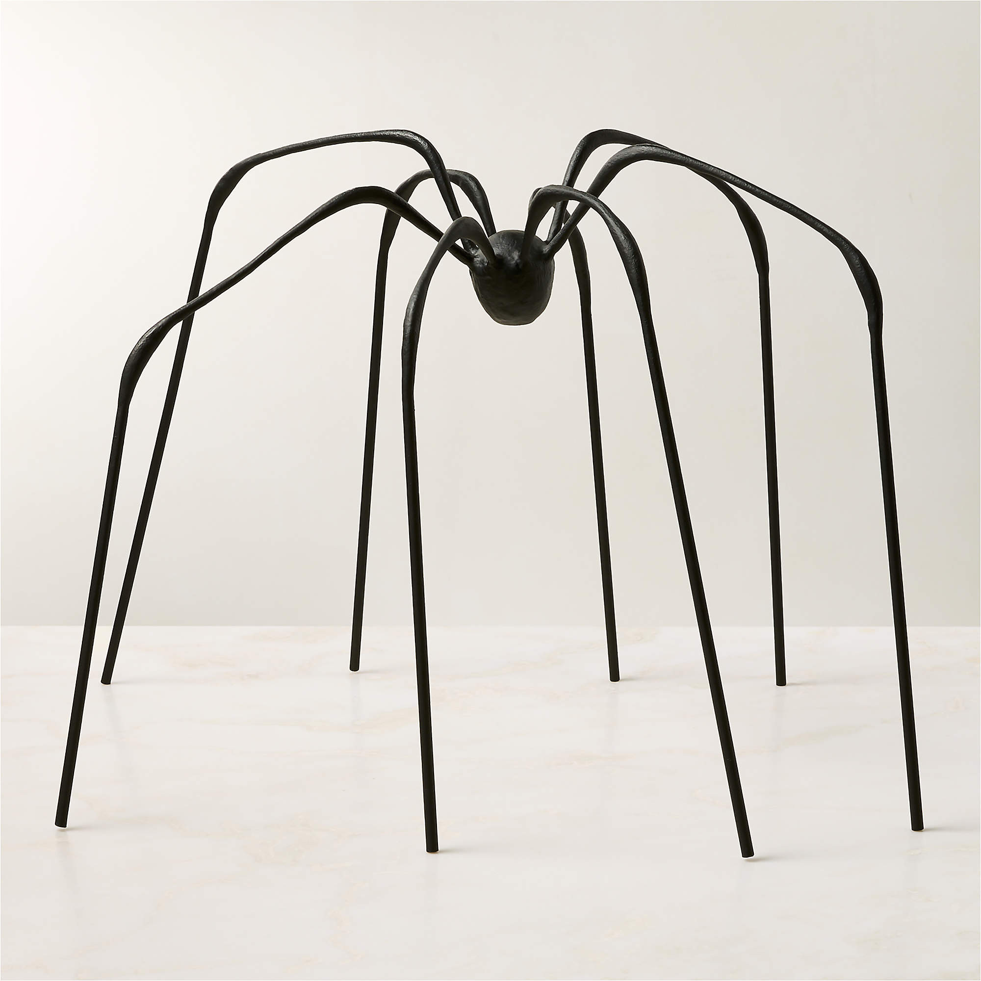 Huntsman Black Cast Aluminum Indoor/Outdoor Decorative Spider 18.5" | CB2