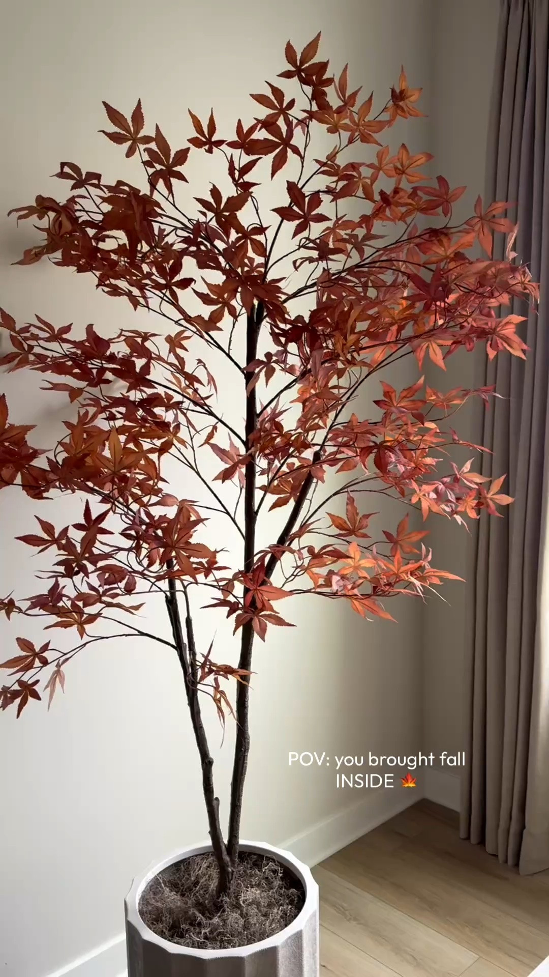 Faux Japanese maple, faux maple, fall tree, autumn tree, faux tree, fall living room

#LTKSaleAlert #LTKSeasonal #LTKHome