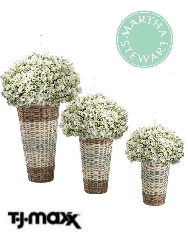 Martha Stewart planters on sale at TJ Maxx is, woven, coastal, seagrass, blue, neutral's, entry, porch, patio, backyard, french, modern.

#LTKsalealert #LTKhome #LTKstyletip