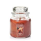 Yankee Candle Medium Jar Candle, Cinnamon Stick | Amazon (US)
