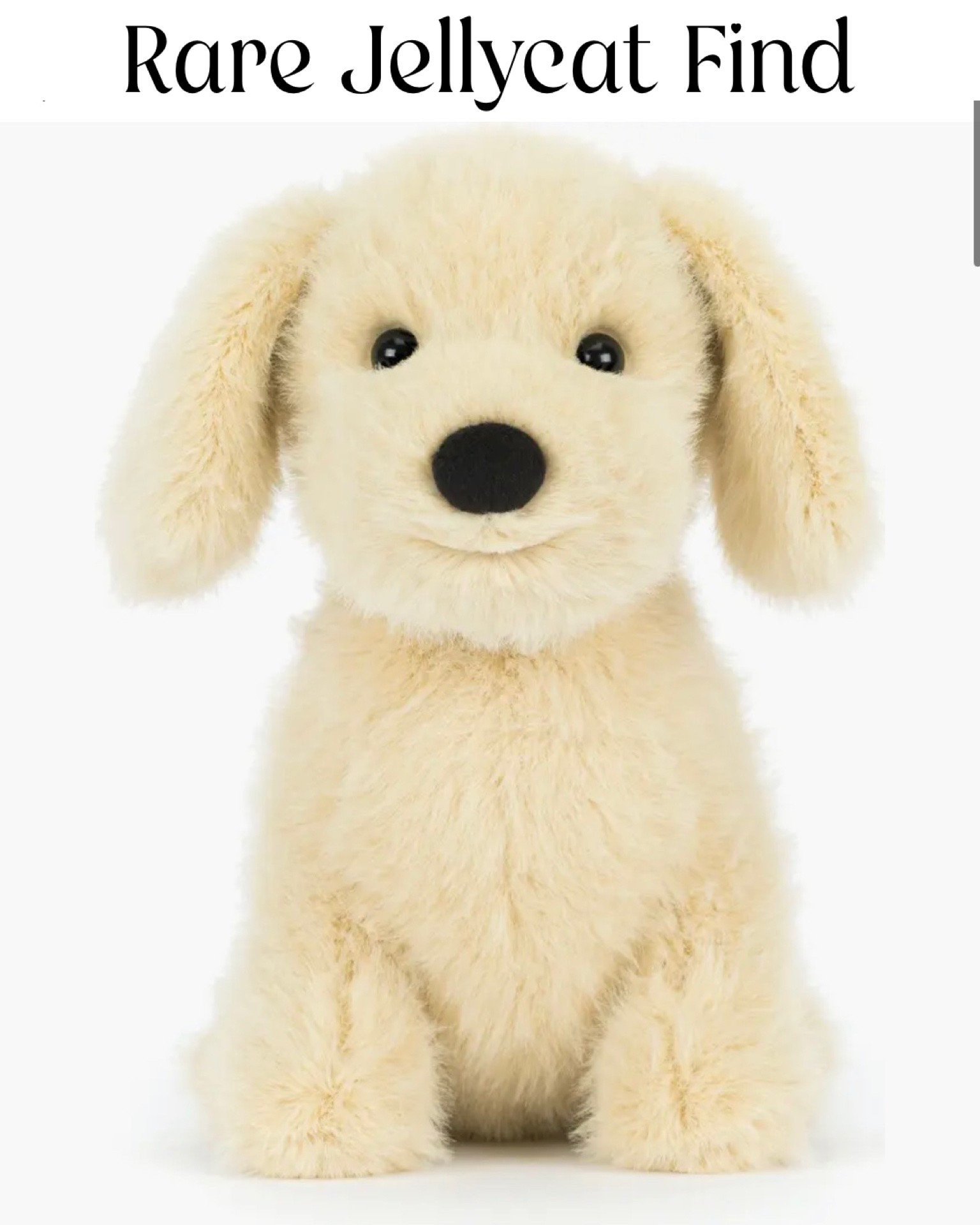 It’s been so hard to find the Golden Puppy Jellycat anywhere, but Nordstrom JUST restocked a limited quantity! We all know how cute Golden Retriever puppies are, and this reflects that so accurately!! Such a fun gift for a Jellycat fan, and it will go super fast again!

#LTKKids #LTKHome #LTKSeasonal