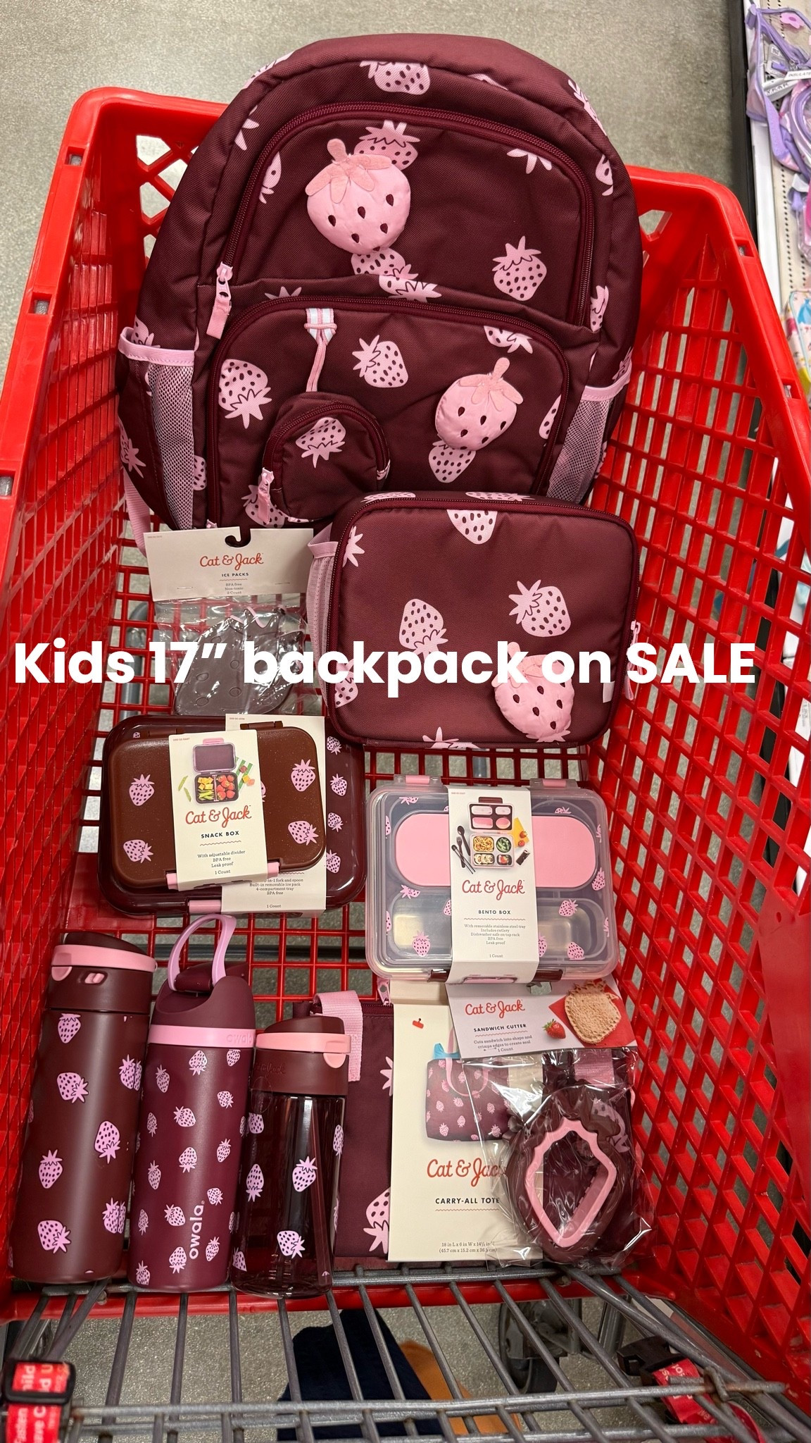 Kids 17” backpack on sale in the cutest strawberry pattern with a lunchbox and all the back to school goodies

#LTKKids #LTKSaleAlert #LTKmomlife