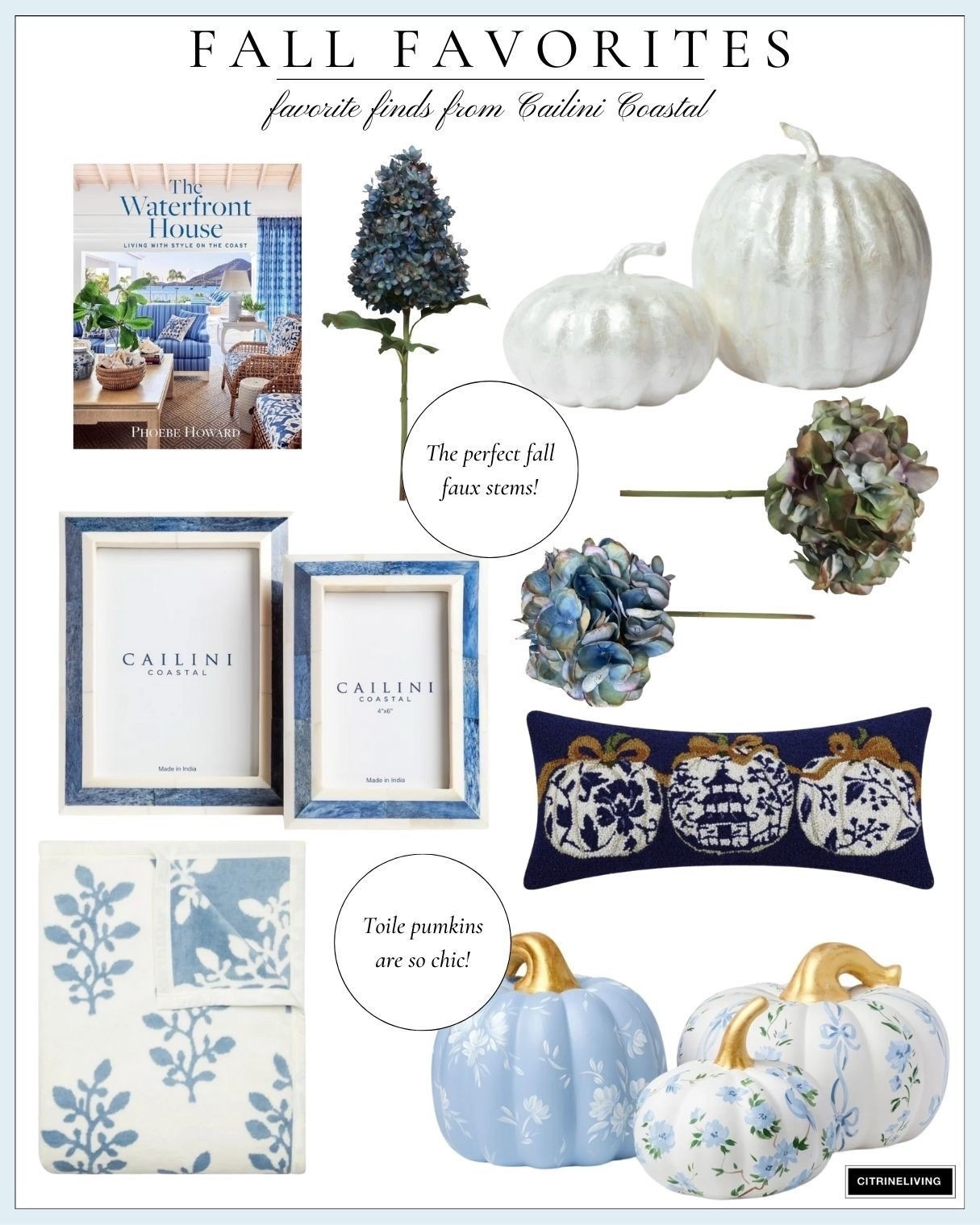 Chic fall home decor favorites!!


#LTKSeasonal #LTKHome