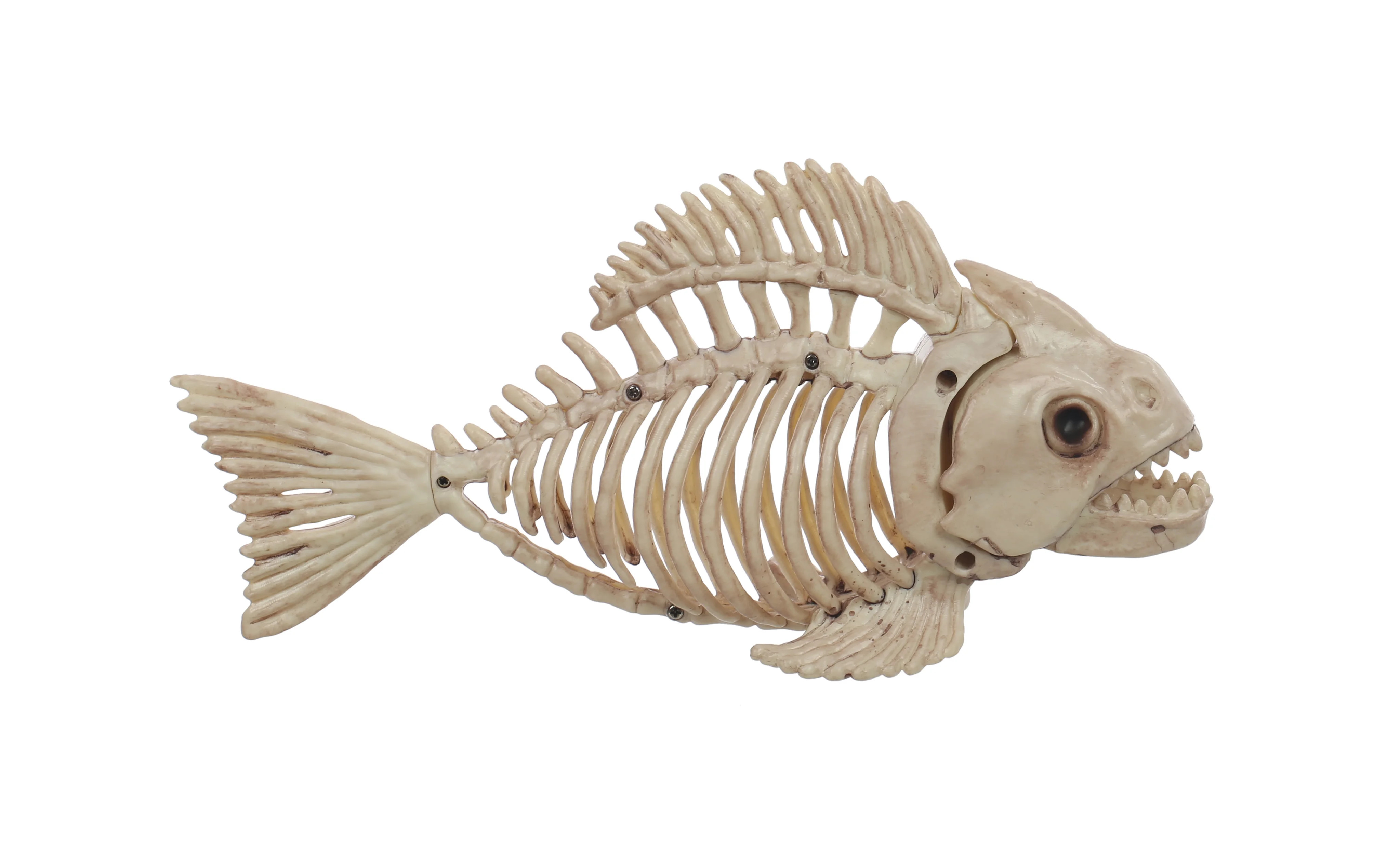Way to Celebrate Faux Skeleton Fish Halloween Decoration | Walmart (US)
