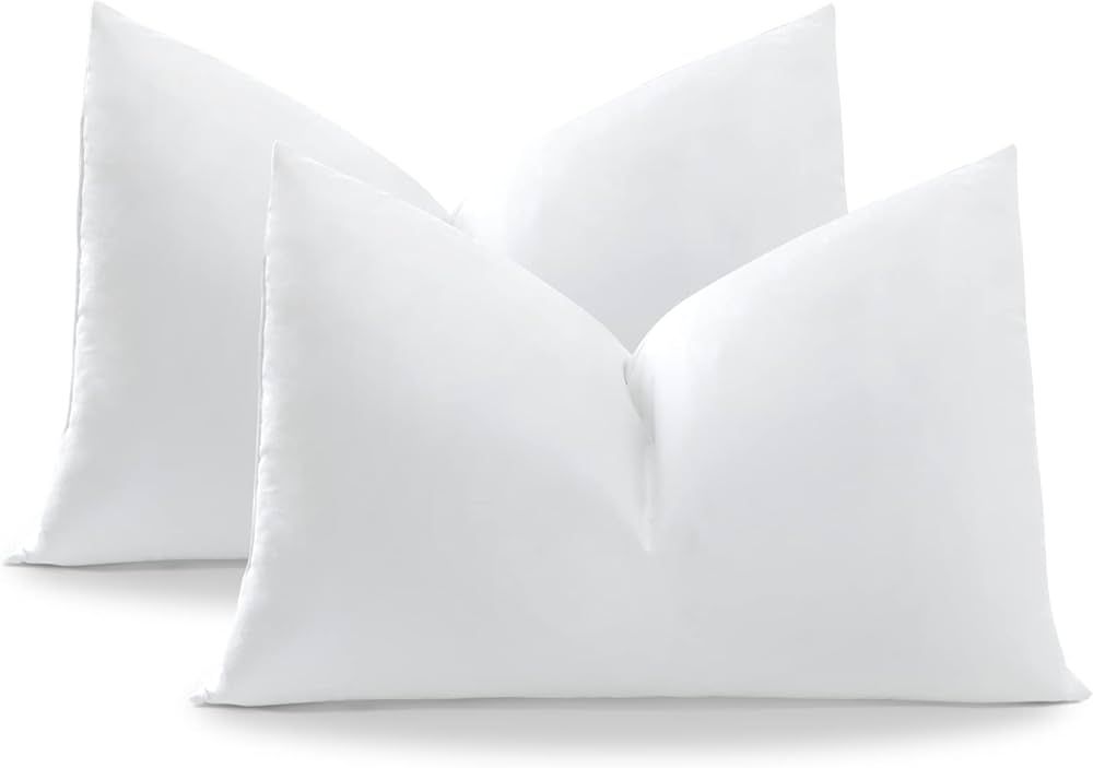 OTOSTAR Pack of 2 Down and Feather Throw Pillow Inserts, 12 x 20 Soft Fluffy Pillow Inserts with ... | Amazon (CA)