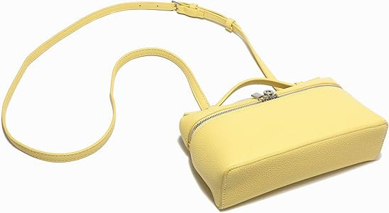 Rejolly Crossbody Bag for Women Small Top-Handle Pouch Purse Designer Shoulder Handbag Quiet Luxu... | Amazon (US)