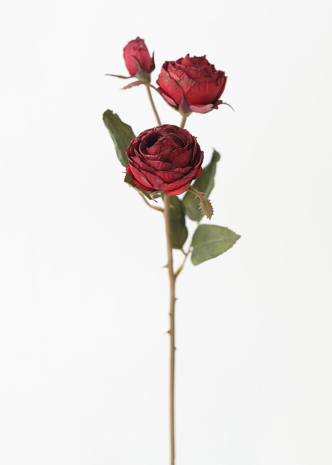 Burgundy Faux Dried Roses with Bud - 21" | Afloral (US)