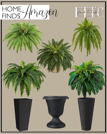 Amazon Home Finds. 
Follow @farmtotablecreations on Instagram for more inspiration.

Outdoor Faux Ferns. Patio Ferns. Patio Greenery. Porch Planters. Indoor/ Outdoor Planters. Galebeiren Artificial Ferns for Outdoors & Indoors, 45" Large Faux Ferns 57 Fronds Fake Boston Fern Plant for Planter Garden Porch Entrance Home Windowsill Yards Farmhouse Decoration. Nearly Natural 35” Boston Fern Artificial (Set of 2) Silk Plants Green. Nearly Natural 22" Boston Fern Artificial Plant In Sandstone Planter, Green. Large Fake Boston Ferns, 88 Branches Artificial Ferns, Faux Fern Plants for Home, Office, Garden Indoor Outdoor Decoration(48 inch, 1pack). KEGYYLE Fake Ferns - Set of 2 Artificial Fern,35 Leaves for Each Bouquet. Verel Set of 2 Tall Outdoor Planters. Arcadia Garden Products PL20BK Classic Traditional Plastic Urn Planter Indoor/Outdoor, 10" x 12", Black. ante Tall Round Planter Set of 2, 23" H Large Decorative Planter Pots for Outdoor Indoor Garden Patio Front Porch (Black). 

#LTKhome #LTKfindsunder50 #LTKsalealert